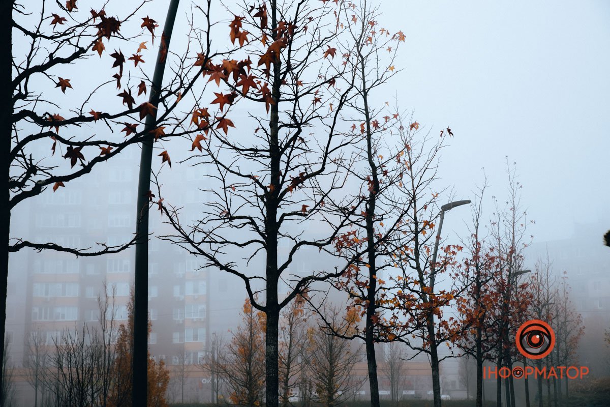 Голі дерева Голі дерева