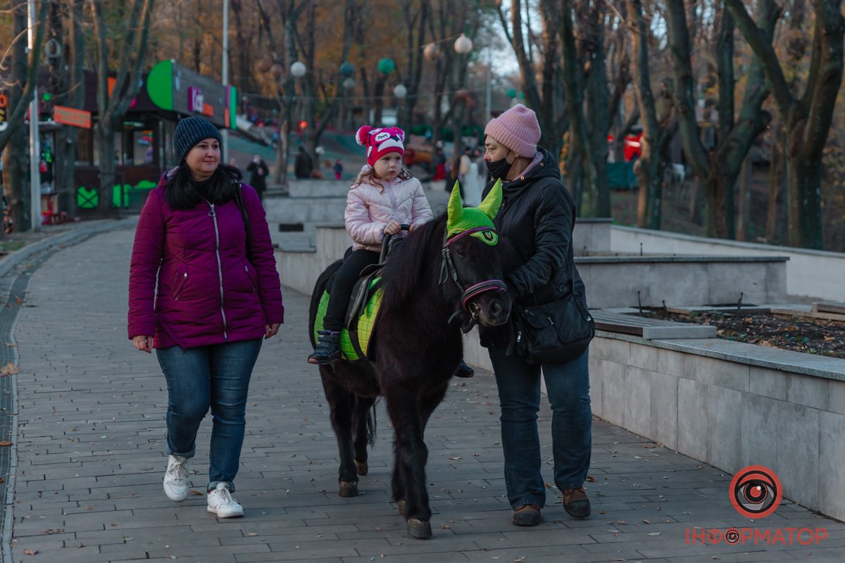 Принцеса на поні Принцеса на поні
