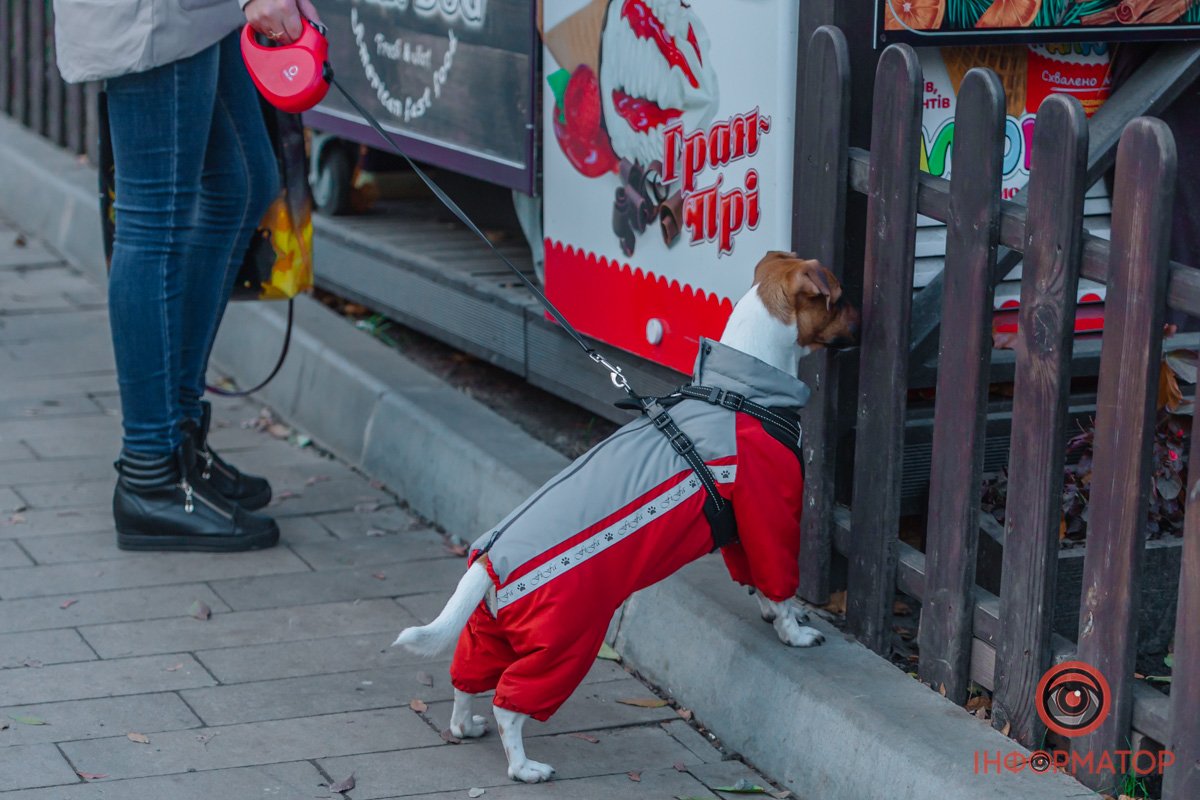 Що це вони там роблять? Що це вони там роблять?