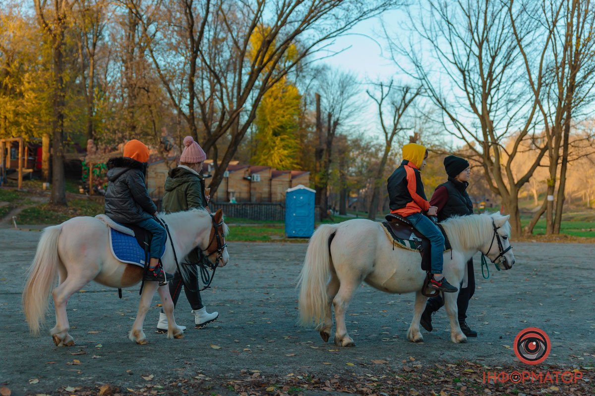 Малеча та поні Малеча та поні