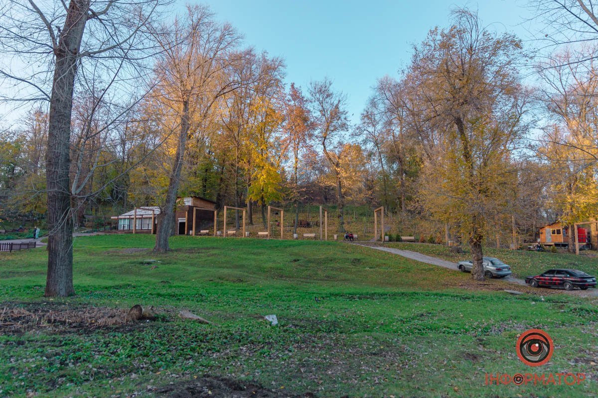 Дерева готуються до зими Дерева готуються до зими