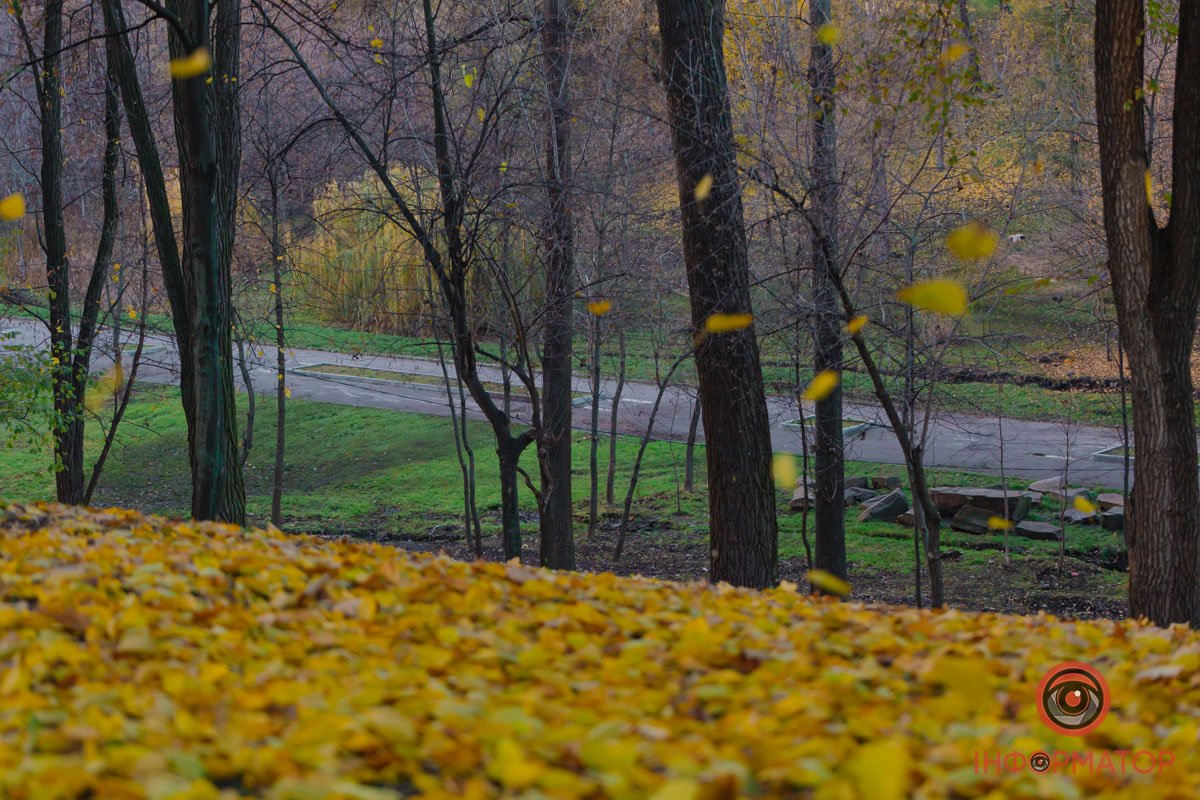 Осінній парк Осінній парк