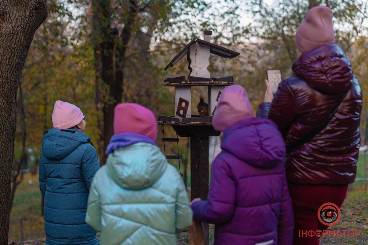Дороги встелені ковдрою з різнокольорових листочків Дороги встелені ковдрою з різнокольорових листочків