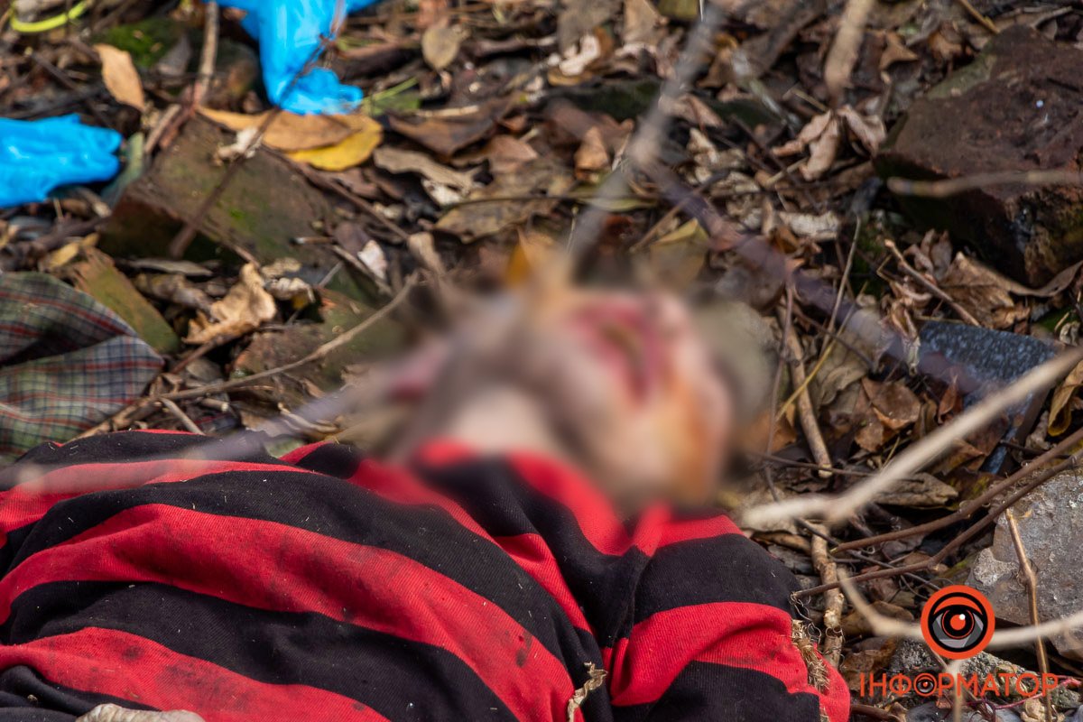 Він лежав на пустирі Він лежав на пустирі