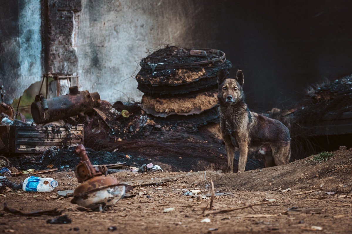 Життя повертається! Життя повертається!