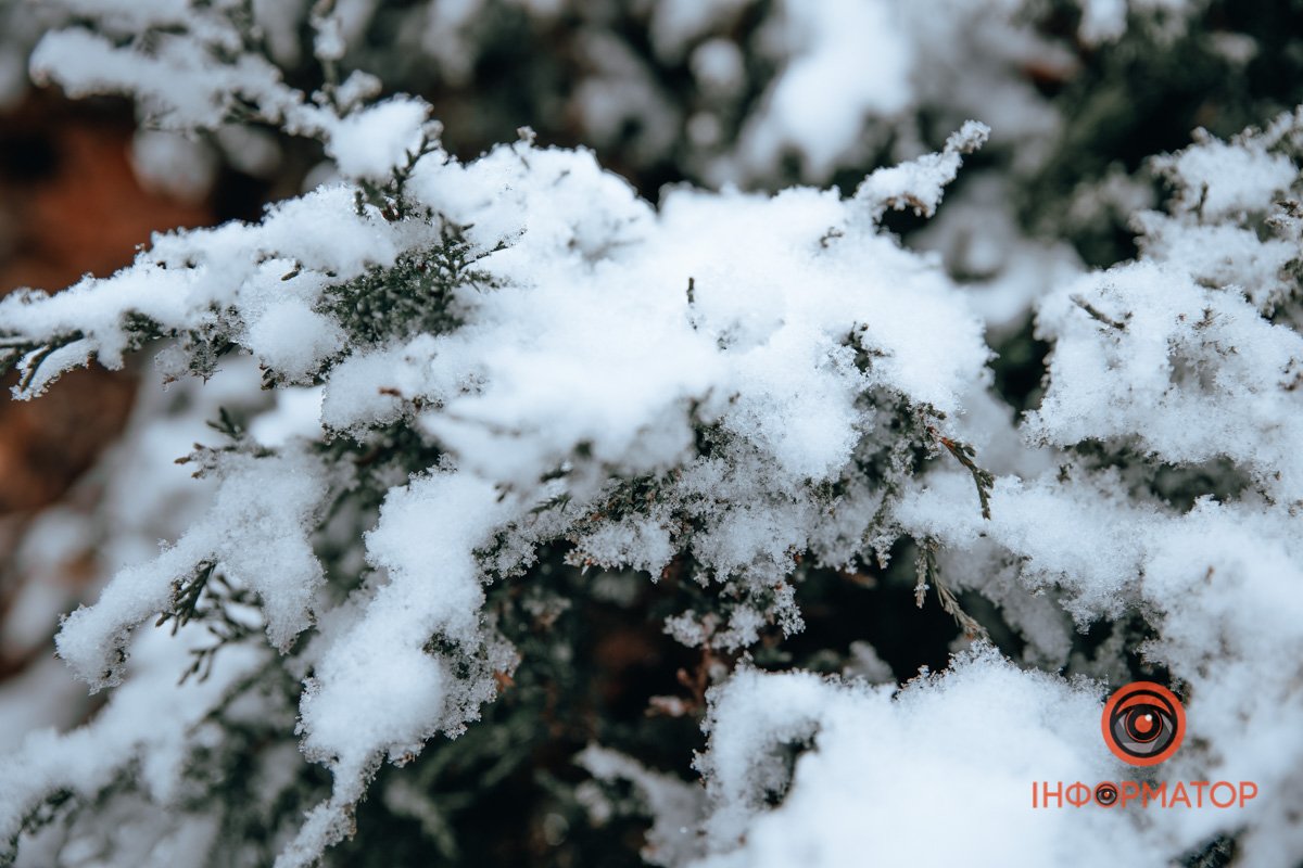 В Дніпрі випав перший сніг