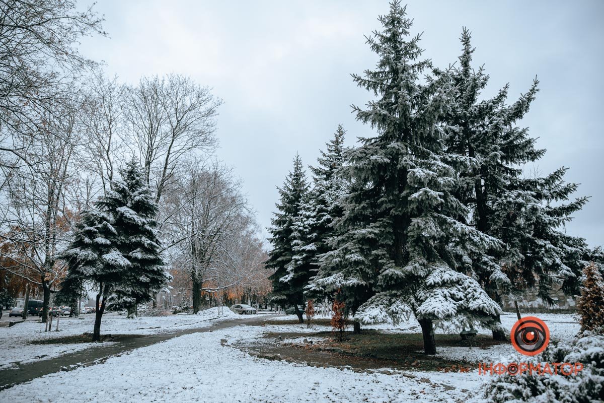 Білі килими