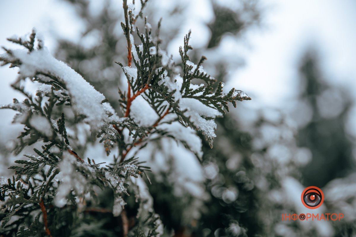 Готові до Нового Року?