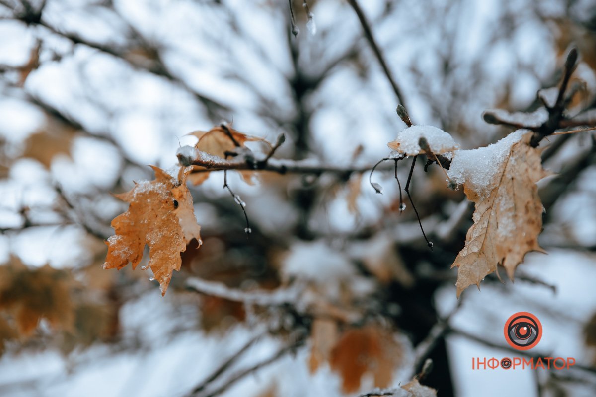 Цікаве поєднання