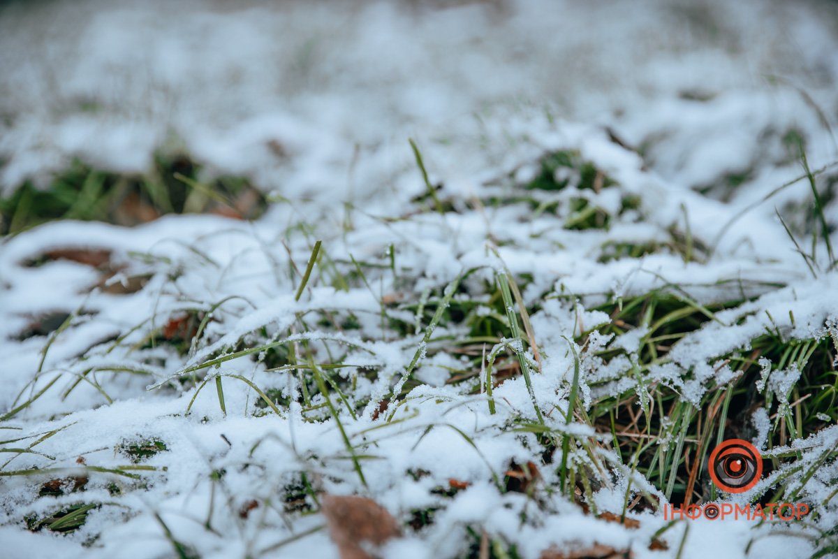 Рідкість у наш час