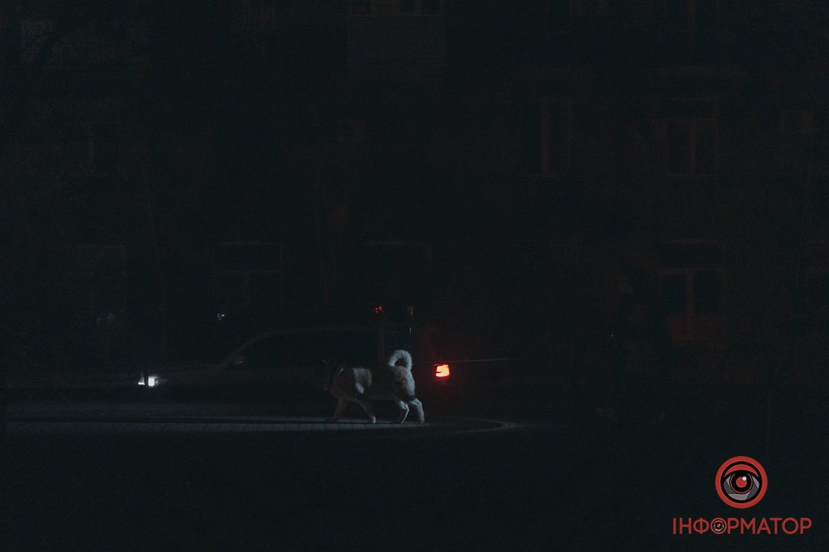 Прогулянка із собакою