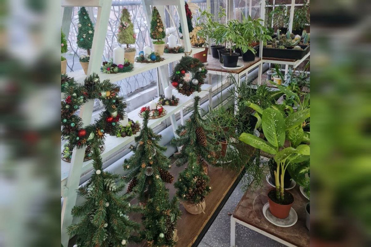 На передодні дня Святого Миколая, 18 грудня, ботанічний сад Дніпра відкриє свої двері для відвідувачів На передодні дня Святого Миколая, 18 грудня, ботанічний сад Дніпра відкриє свої двері для відвідувачів