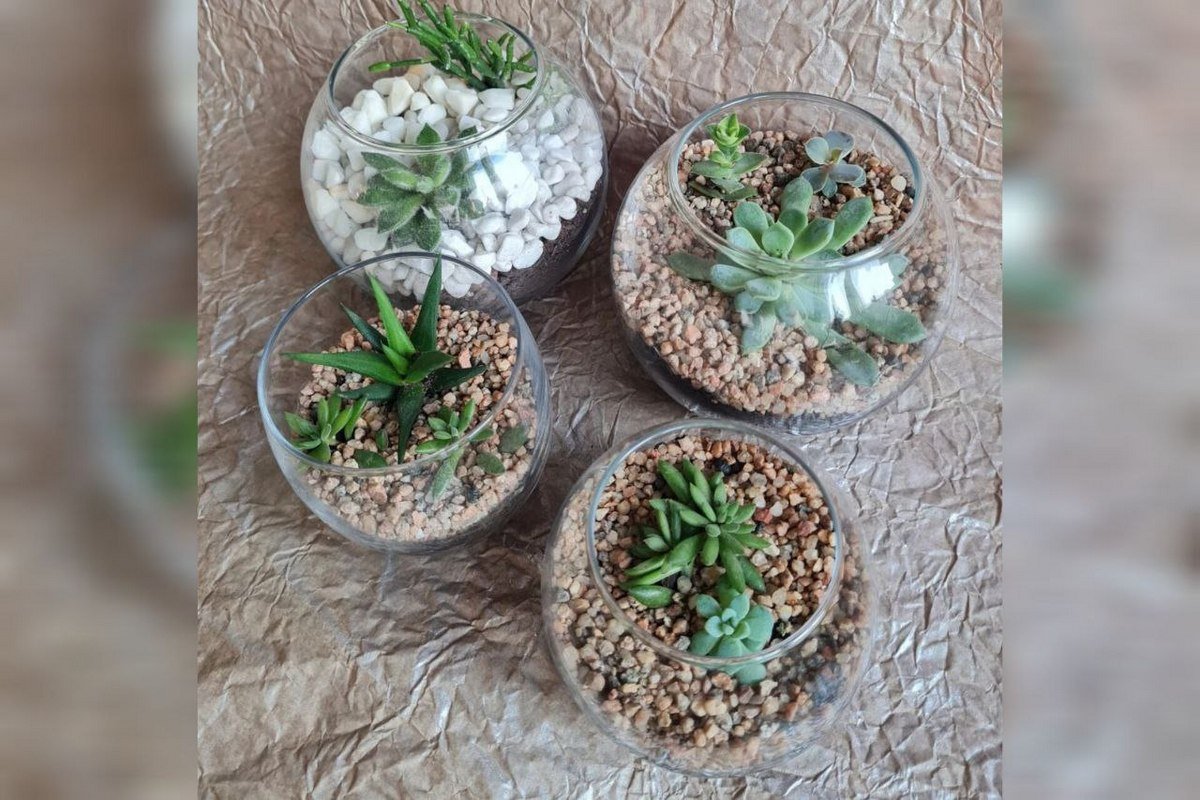 Також усі охочі зможуть завітати до оранжереї Також усі охочі зможуть завітати до оранжереї