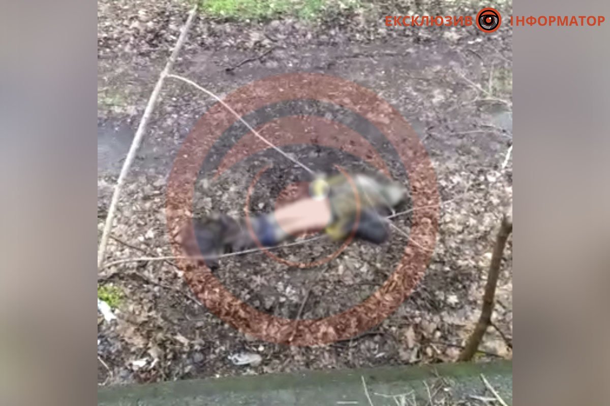 Слідів насильницької смерті немає Слідів насильницької смерті немає