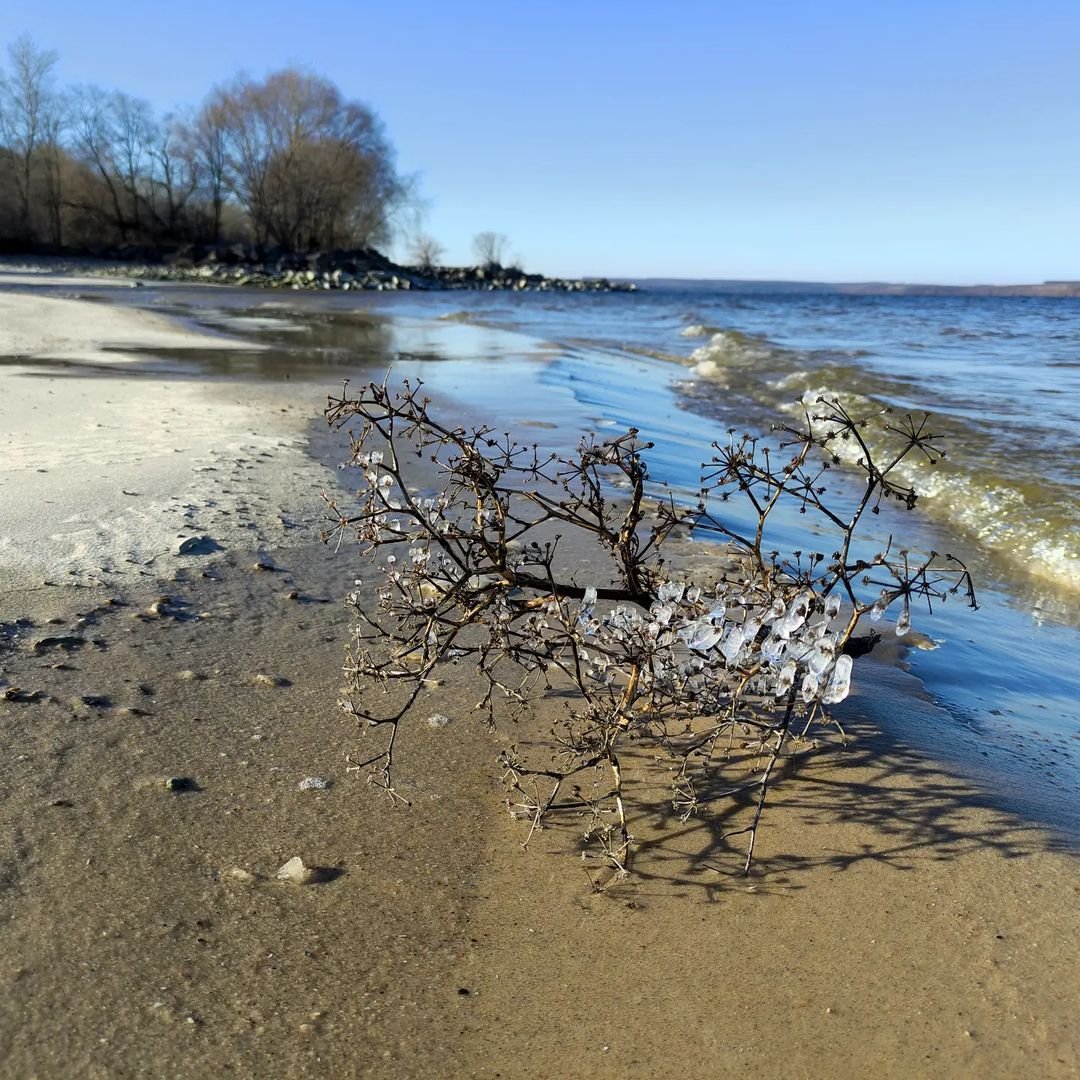 @alexejtemerev @alexejtemerev