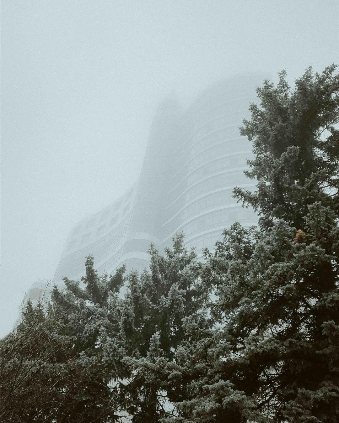 @stepa18_08 @stepa18_08