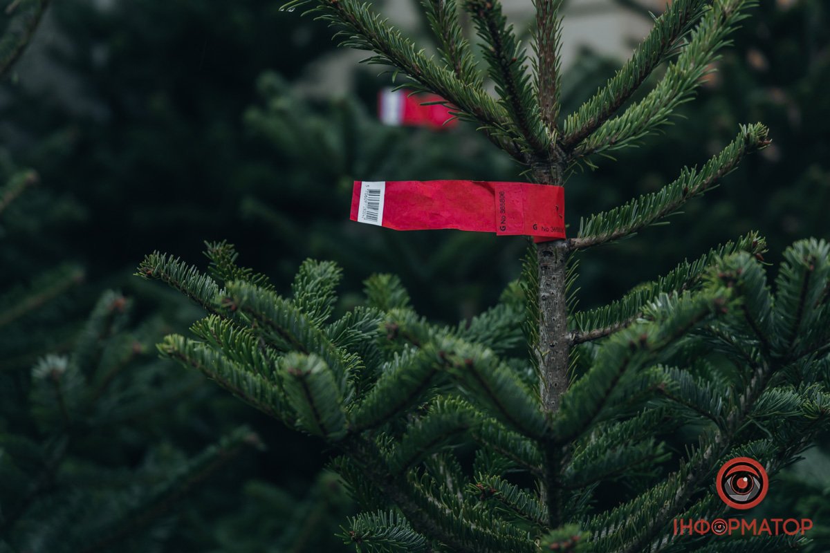 Все офіційно