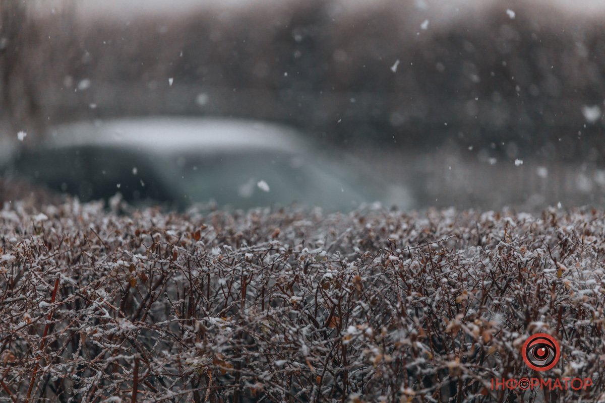 Тут можна побачити сніг ближче