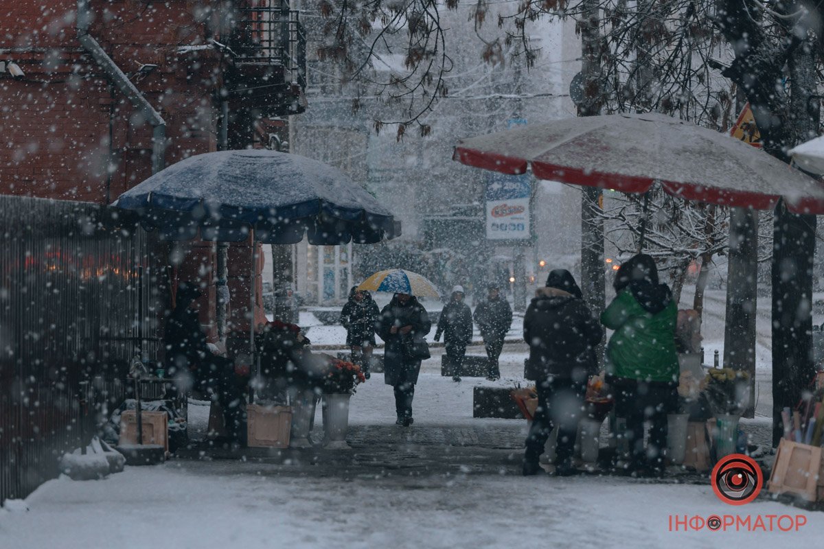 Квіти та сніг 