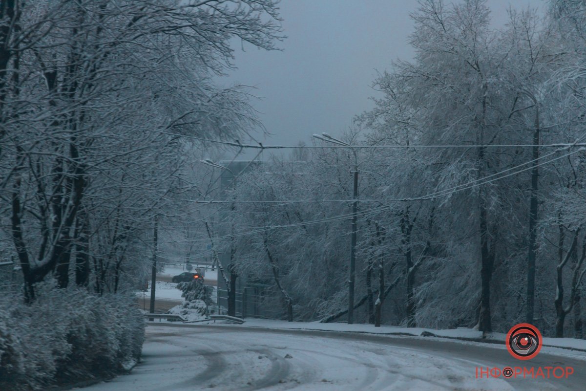Сніг окутав всі дерева та дороги