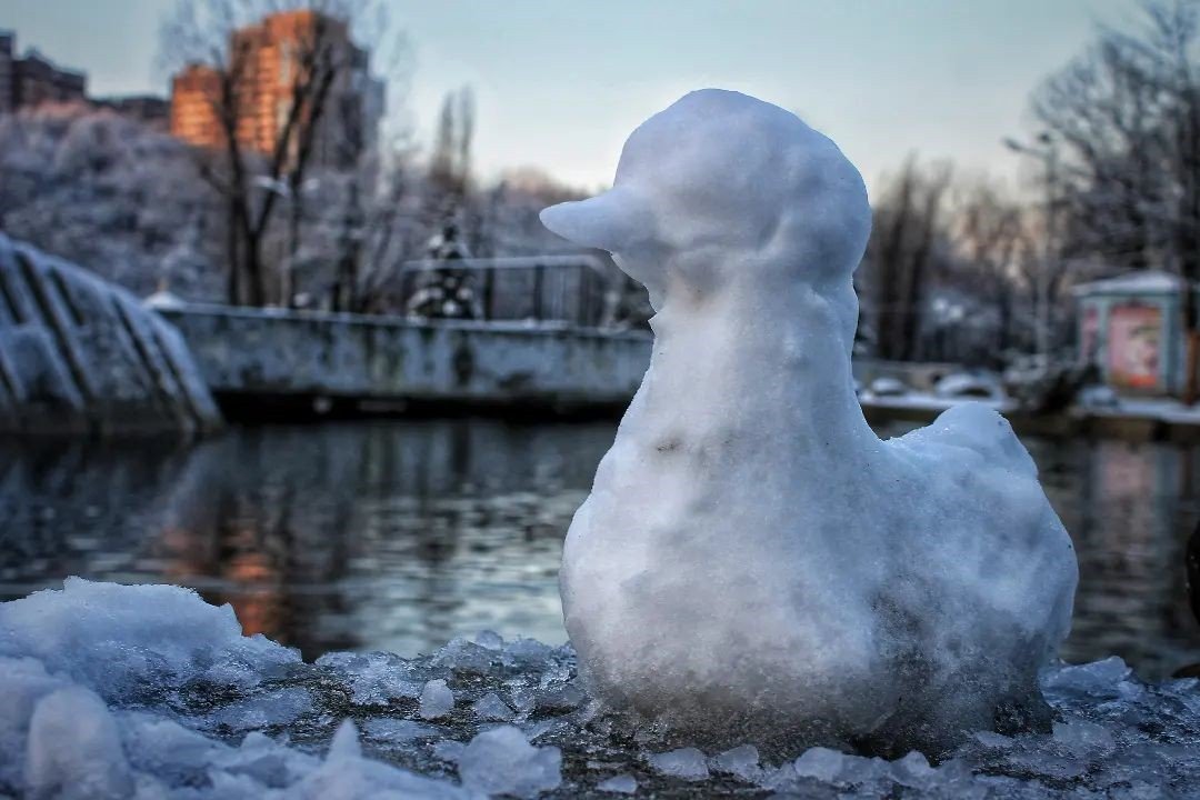 Фото: @photographer_andrey_moroz Фото: @photographer_andrey_moroz