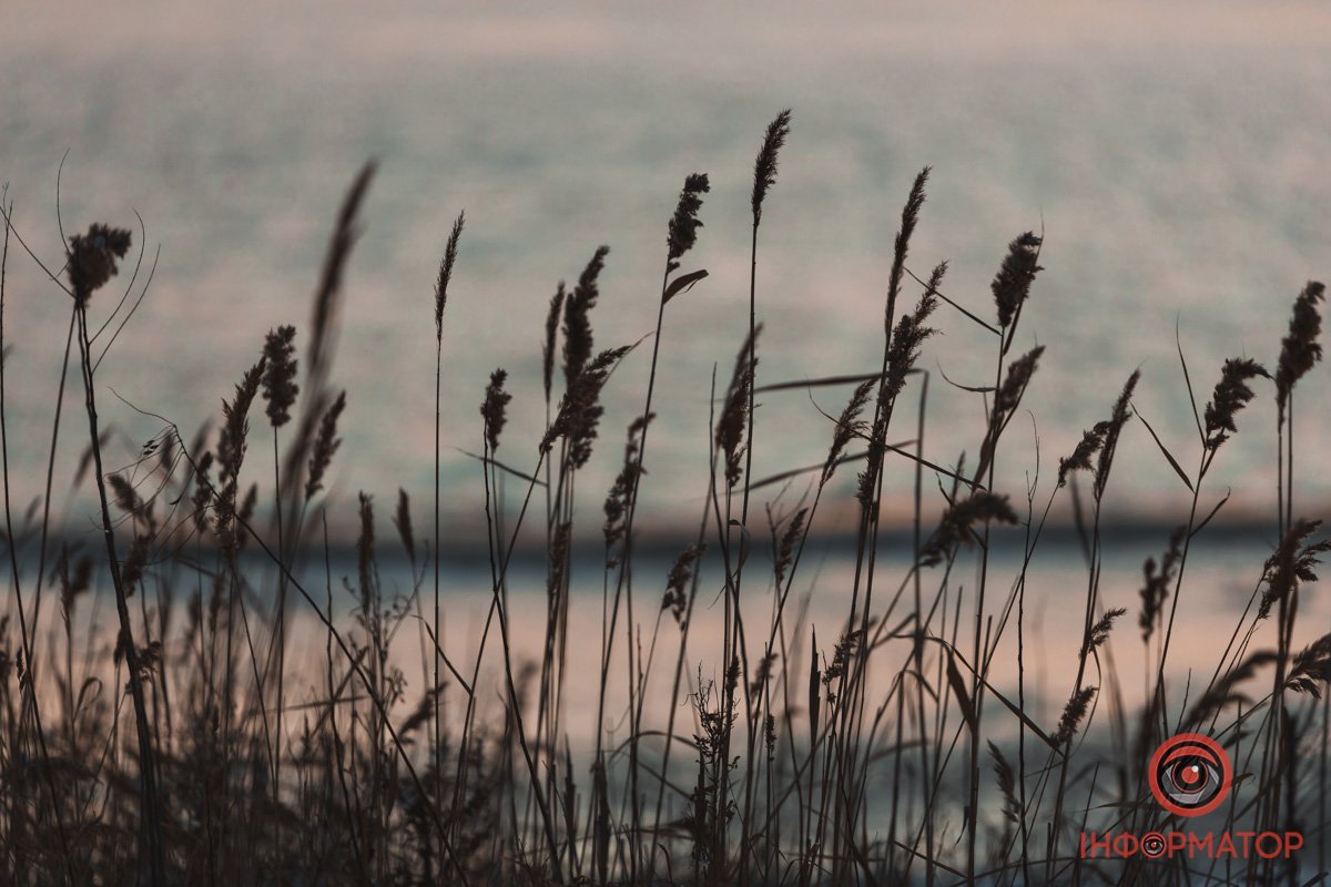 Колискова вітру 