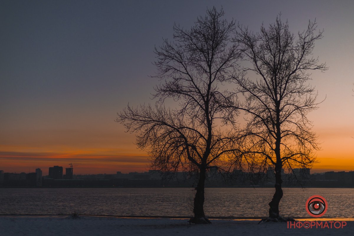 Дерева милуються західом сонця 