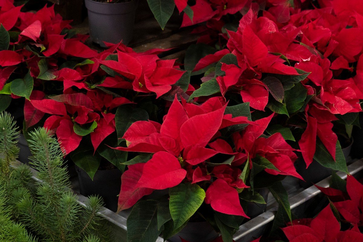 На перших відвідувачів чекають приємні бонуси На перших відвідувачів чекають приємні бонуси