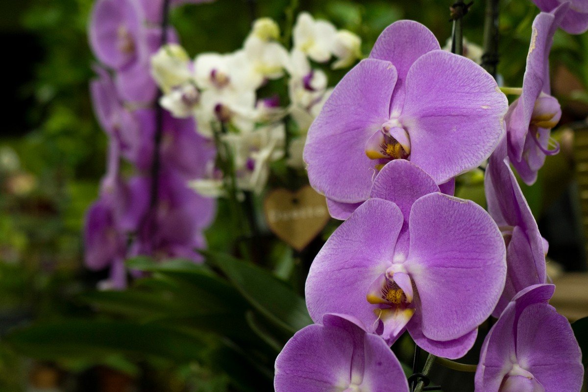 На відвідувачів чекає жива музика На відвідувачів чекає жива музика