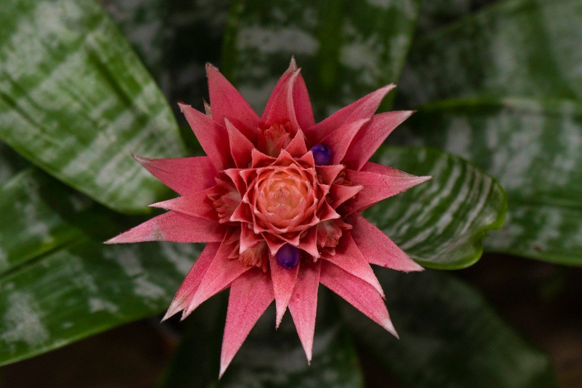 КвітОптТорг, вул. В. Мономаха, 15. КвітОптТорг, вул. В. Мономаха, 15.