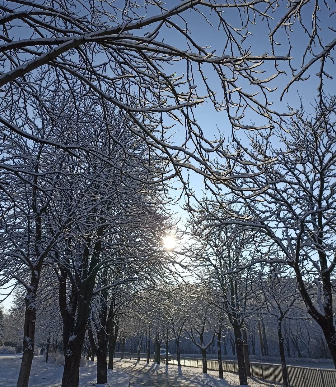 @yan.kee._ @yan.kee._