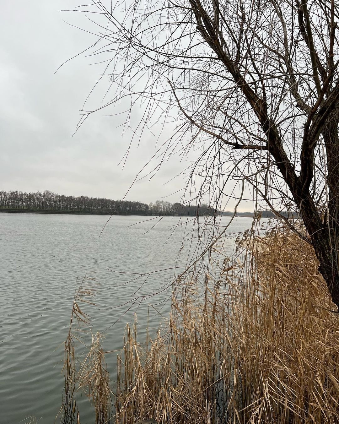 @vlada_karo @vlada_karo