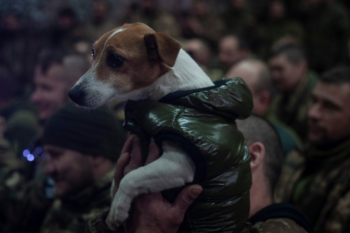 Чотирилапий друг