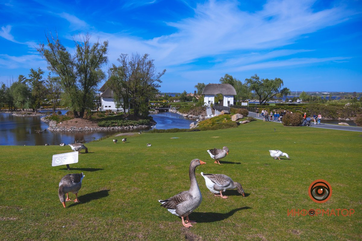 Тваринний світ "Січі" Тваринний світ "Січі"