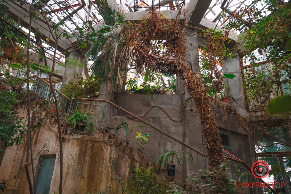 Оранжерея у ботанічному саду Оранжерея у ботанічному саду