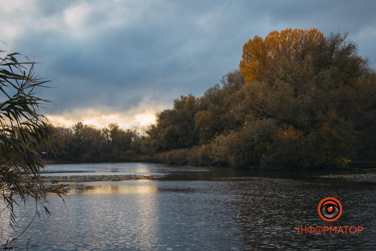 Плавні Плавні