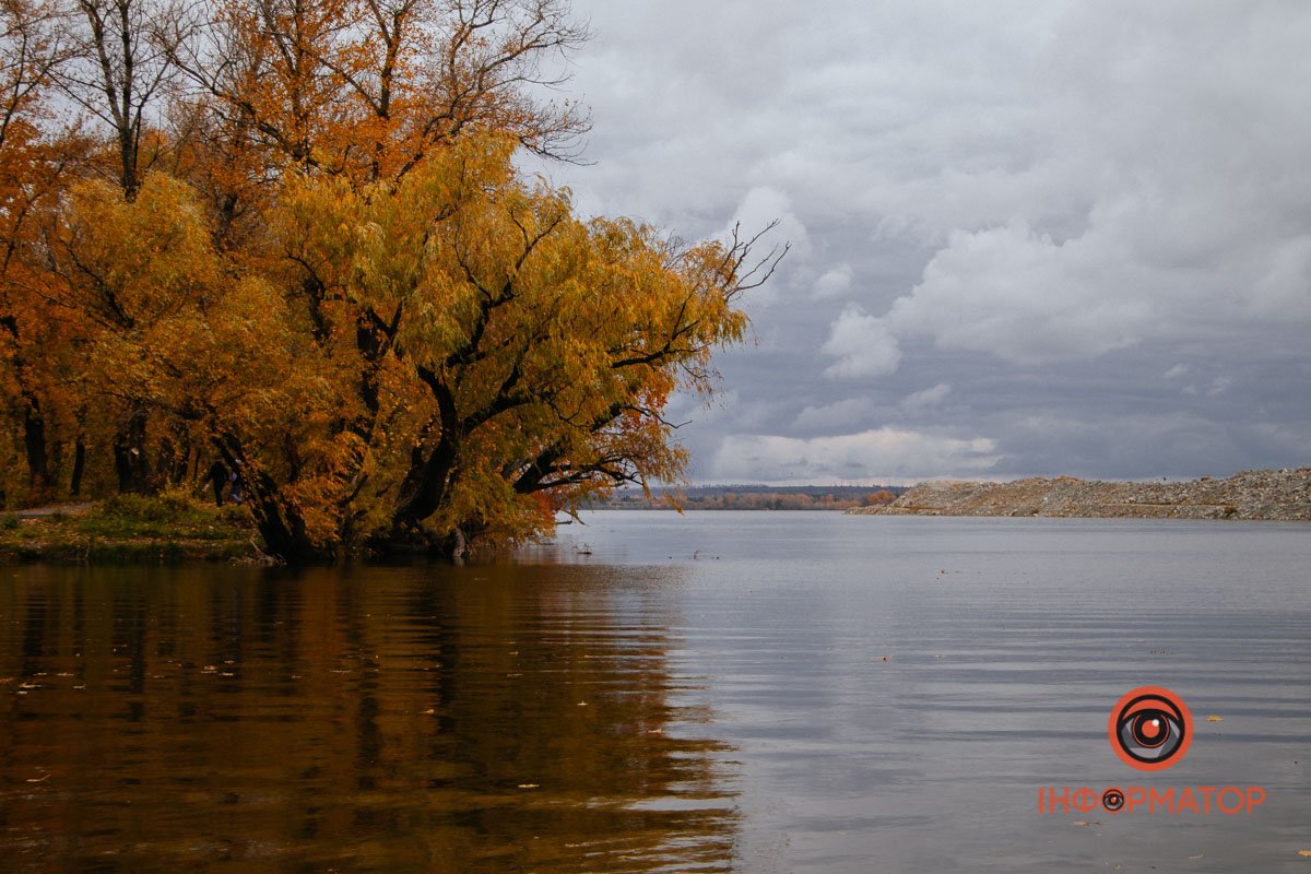 Симетрія Симетрія