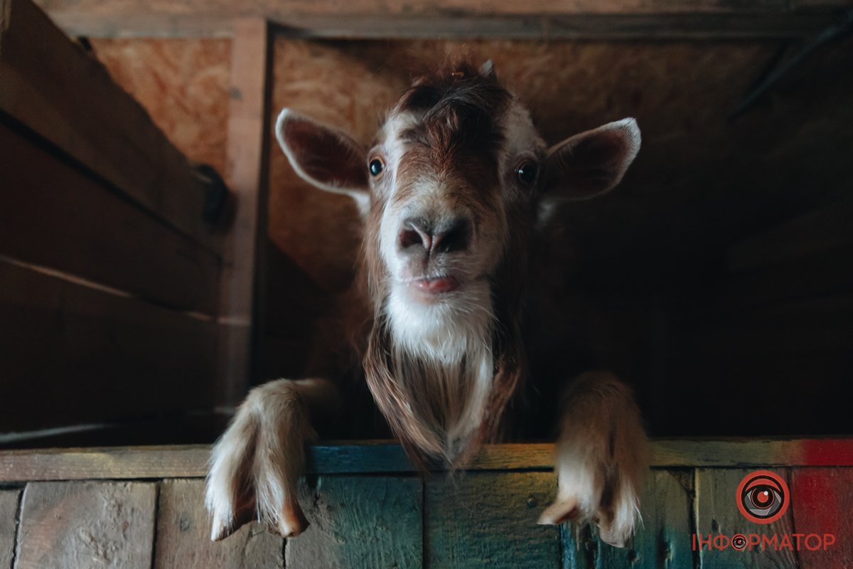 Фото: Денис Чубченко Фото: Денис Чубченко