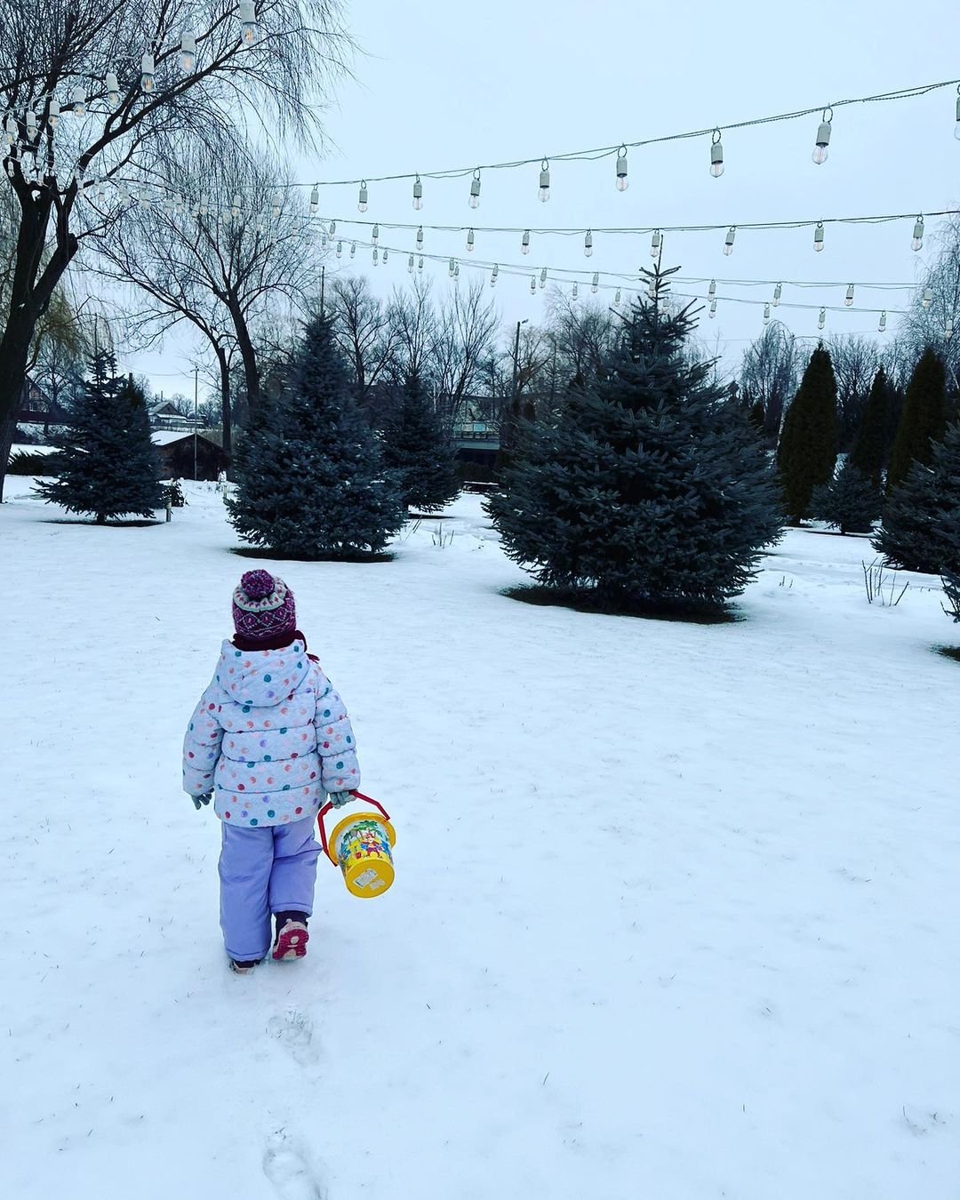 @tatiana7172 @tatiana7172