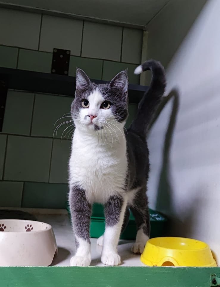 Семен Семен