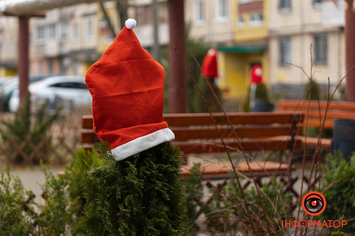 Ковпаки на рослинах Ковпаки на рослинах