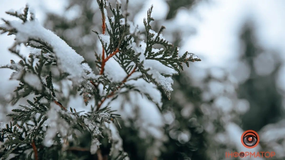 Морози до мінус 15: прогноз погоди у Дніпрі та області на найближчі дні