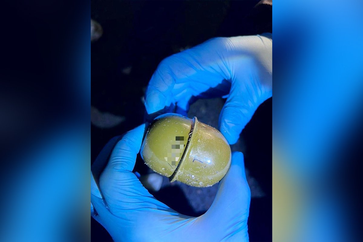 При собі вони мали корпуси гранат РГД-2 та запали