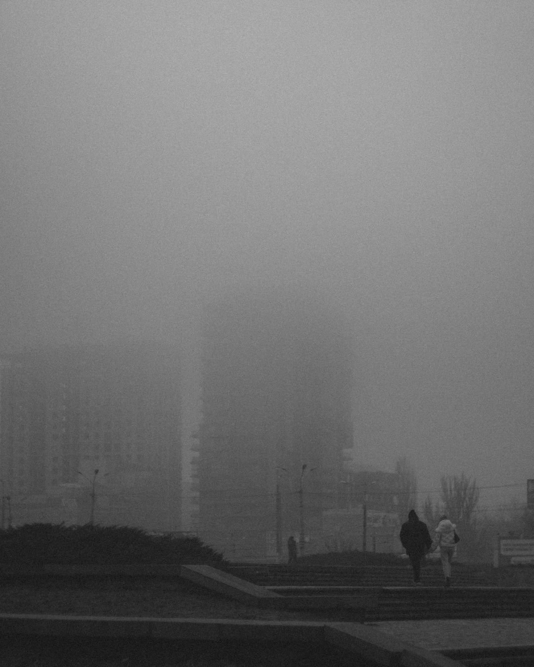 Фото: kaktuz_tv Фото: kaktuz_tv