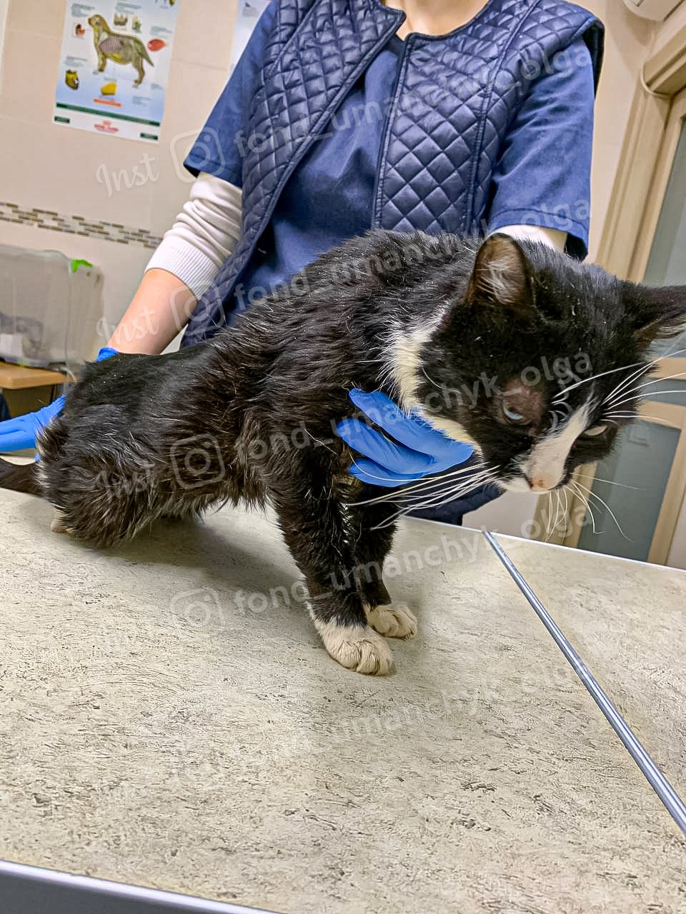 Терміново потрібна допомога Терміново потрібна допомога