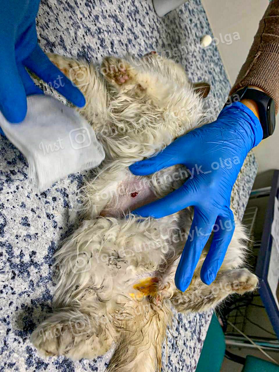 Терміново потрібна допомога