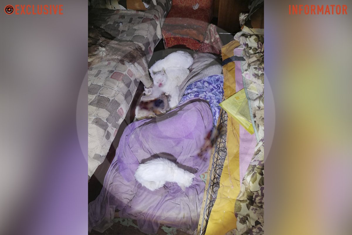 Причини смерті жінки встановлюють Причини смерті жінки встановлюють