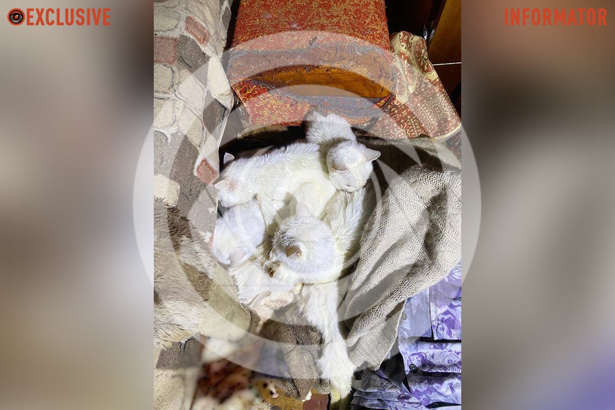 В квартирі на проспекті Поля В квартирі на проспекті Поля