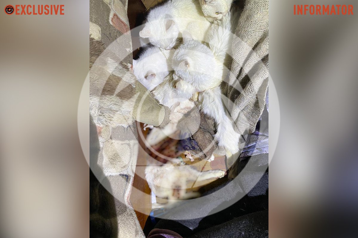 Тіло 73-річної жінки направили на проведення судово-медичної експертизи Тіло 73-річної жінки направили на проведення судово-медичної експертизи