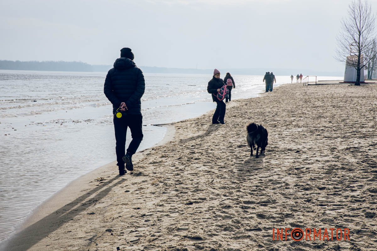 Собака теж зайшов у воду